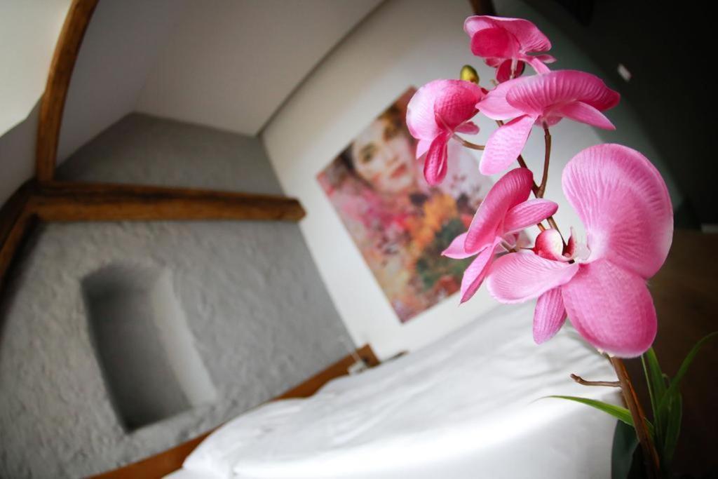 Appartement-Hotel Gh Zum Goldenen Schiff إنس المظهر الخارجي الصورة